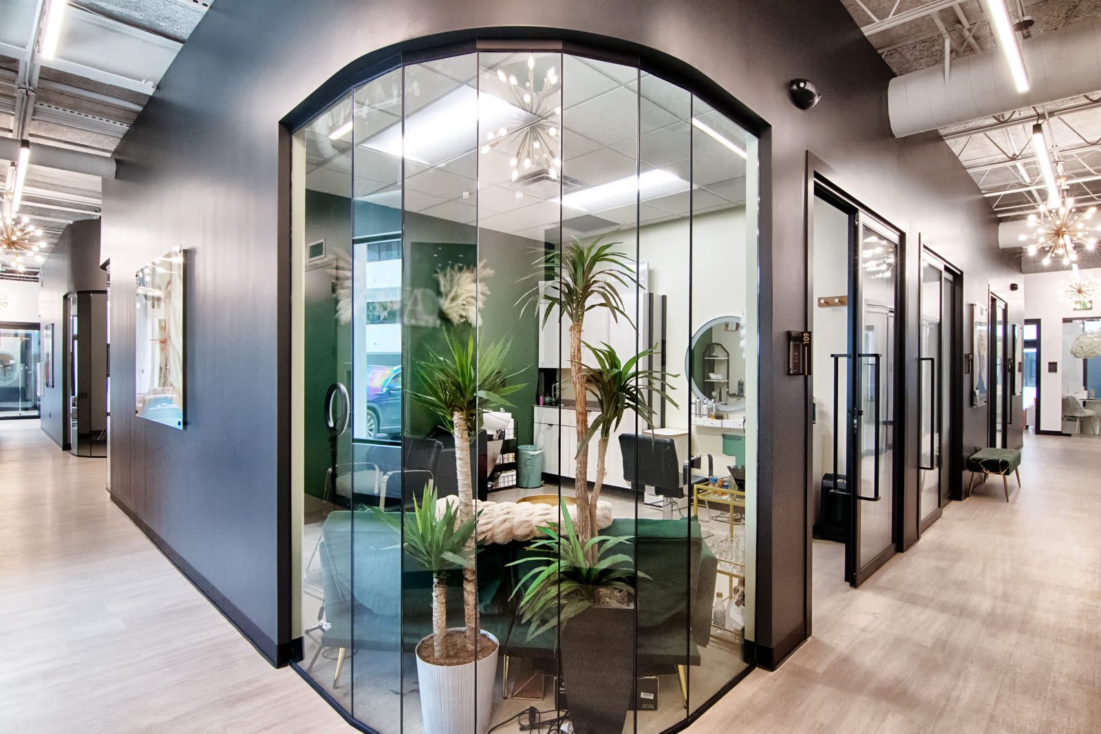 Modern office with glass walls and plants